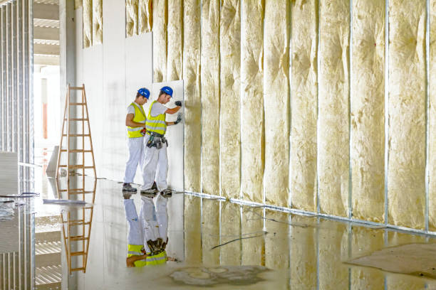 Best Eco-Friendly Insulation in Shirley, NY